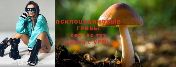 гашиш Абаза
