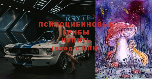 дживик Алексин