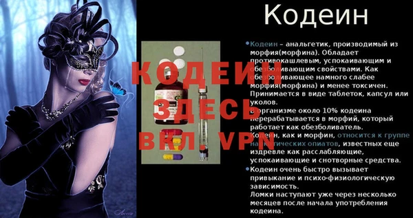 эйфоретик Алзамай
