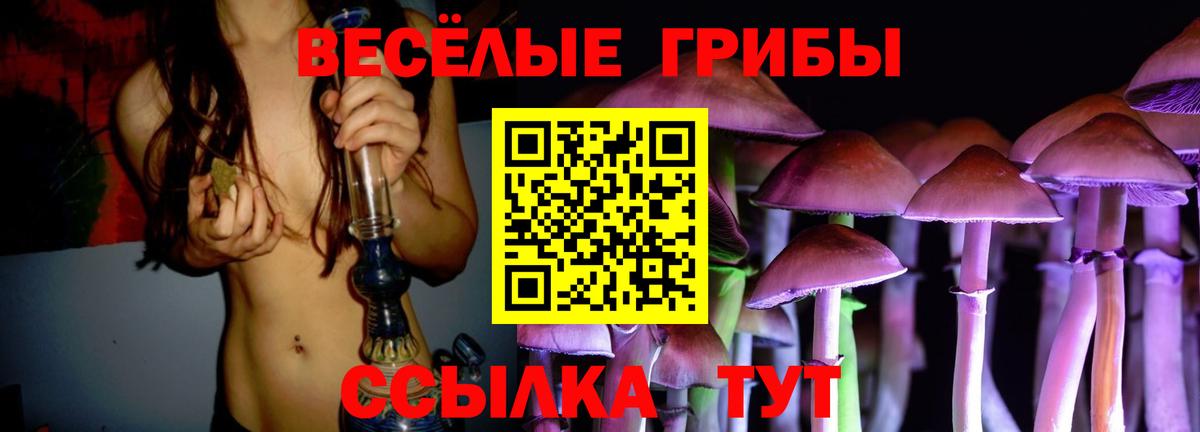 Галлюциногенные грибы прущие грибы  Псилоцибиновые грибы ЛСД  купить   Рязань  Вход с VPN 